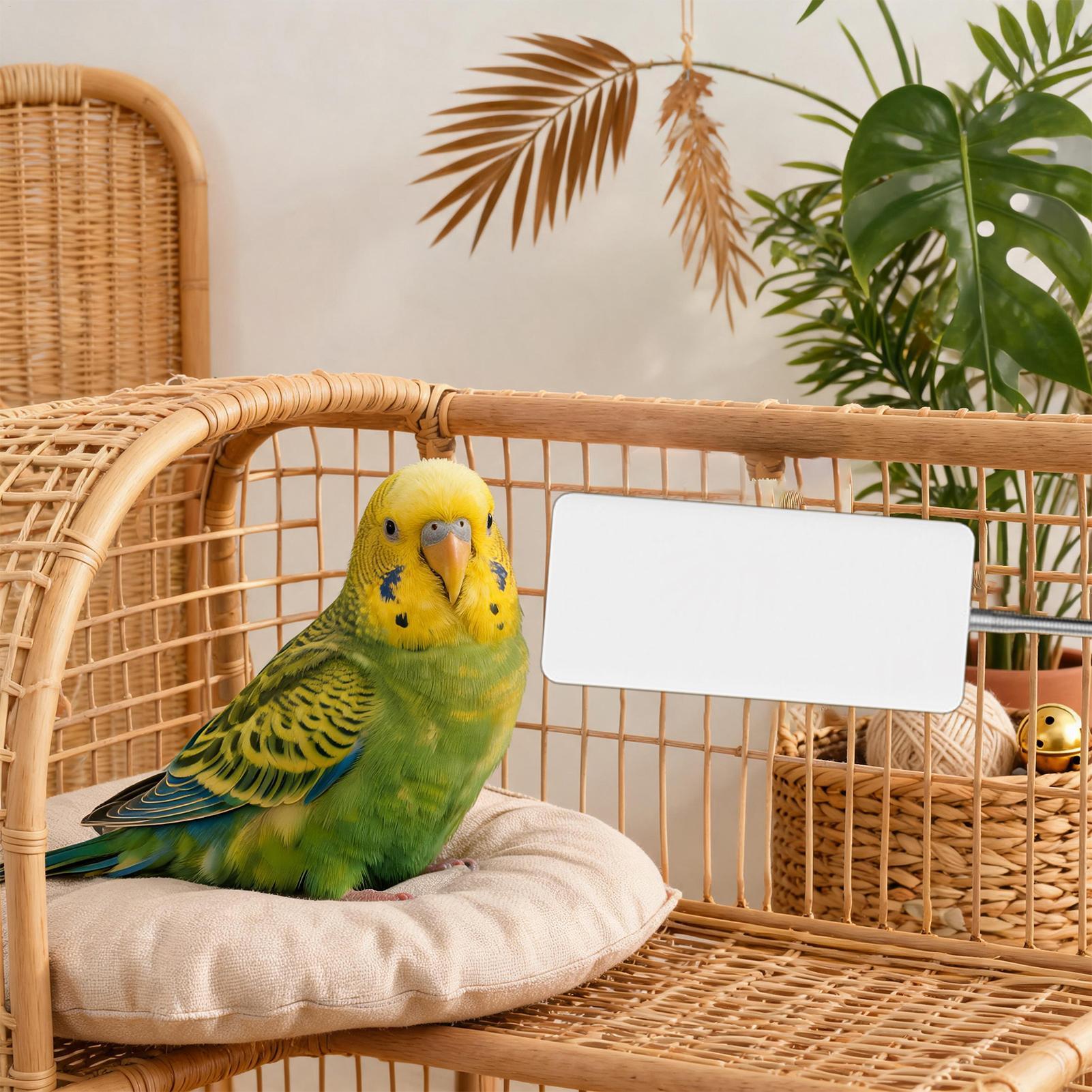 Smart Garden Bird Bath - Huisdierverwarmer 5V Veilige winterverwarmingsapparatuur voor huisdieren