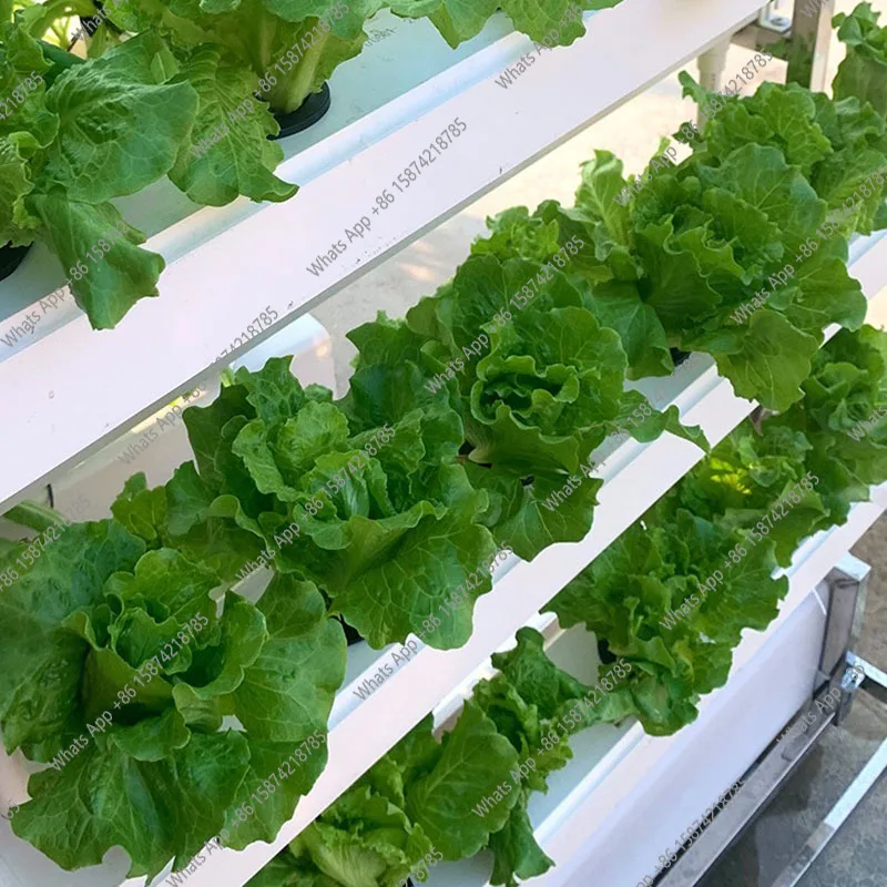 S Hydrocultuur kweeksysteem Gr - Smart Garden Vertical Planter recensie en prijs
