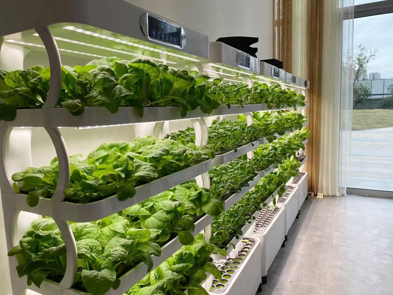 en verticale kas compleet hydr - Smart Garden Vertical Planter recensie en prijs