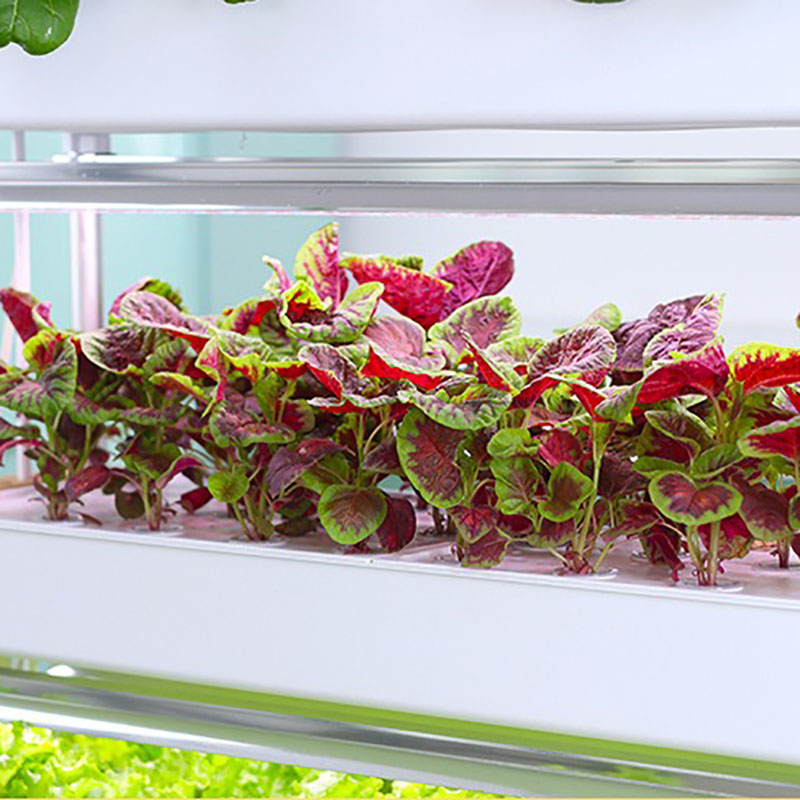 Hydrocultuur kweeksysteem Vert - Smart Garden Vertical Planter recensie en prijs