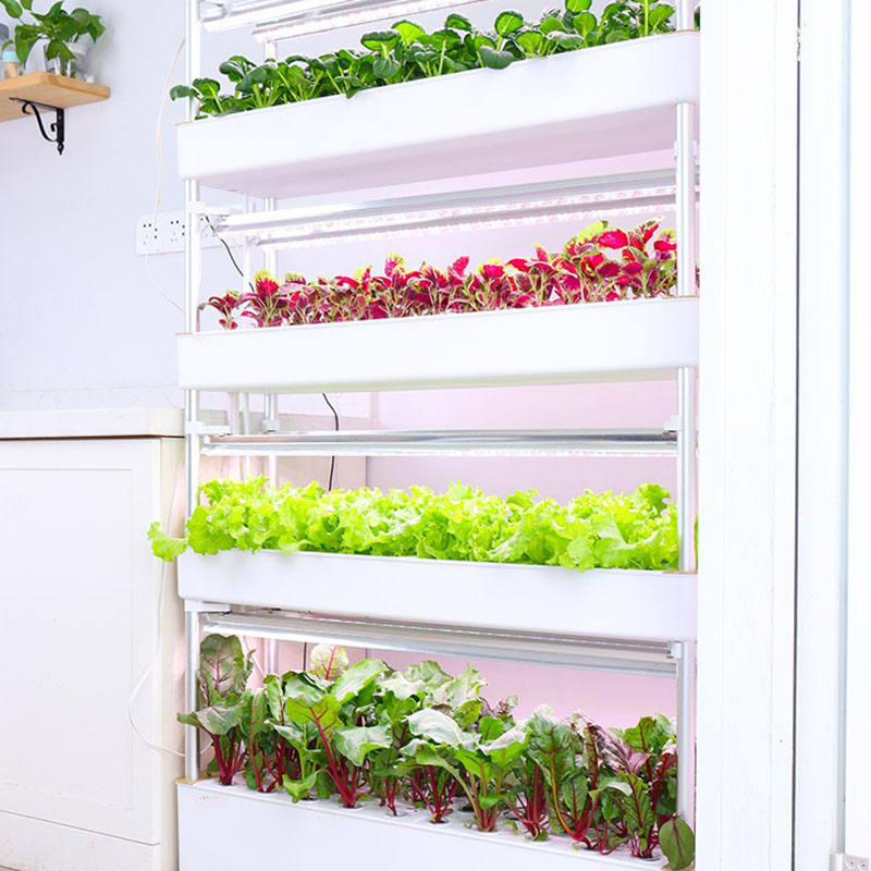 Hydrocultuur kweeksysteem Vert - Smart Garden Vertical Planter recensie en prijs