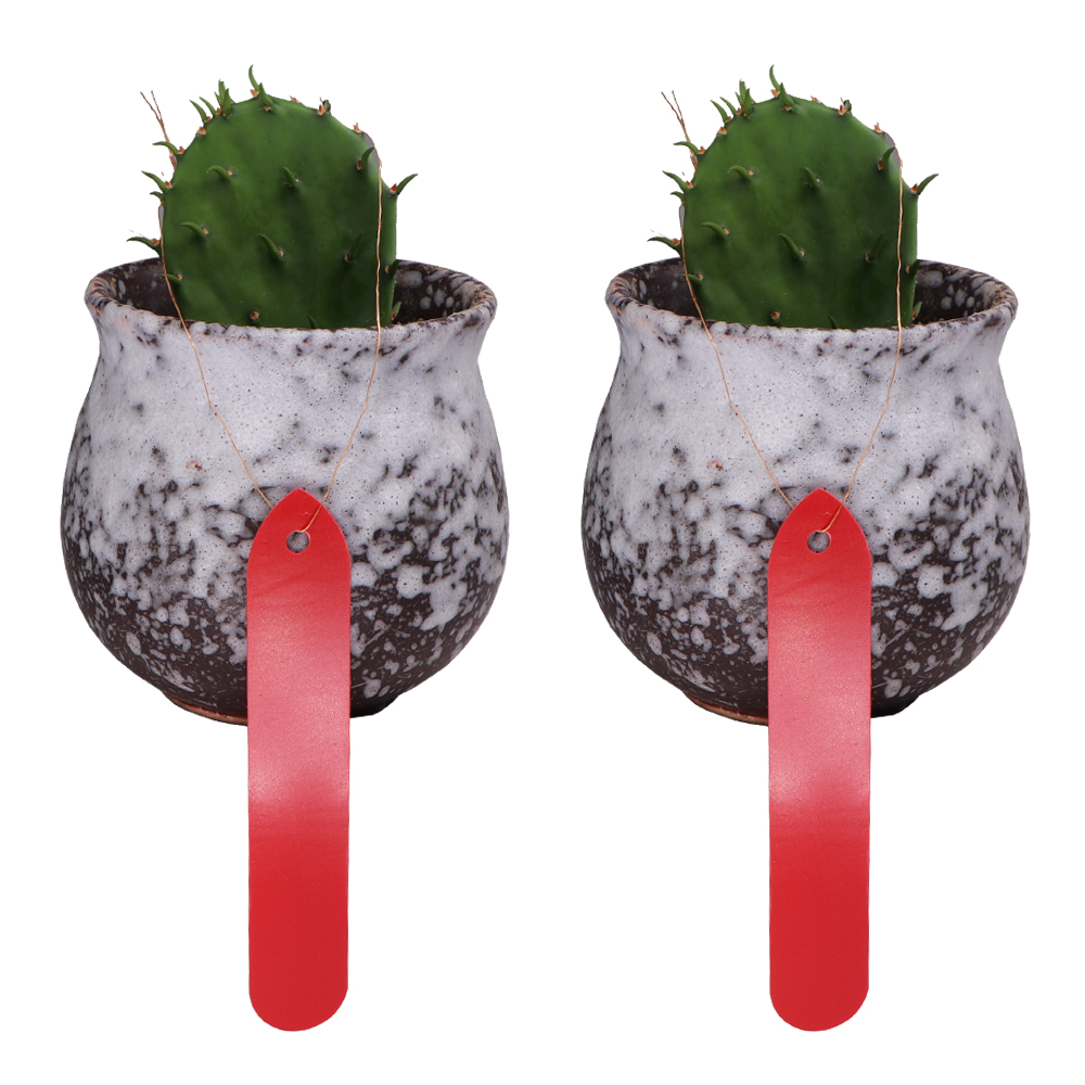 50 Stuks 1.8X10Cm Plant Tags M - Garden Journal Planner recensie en prijs
