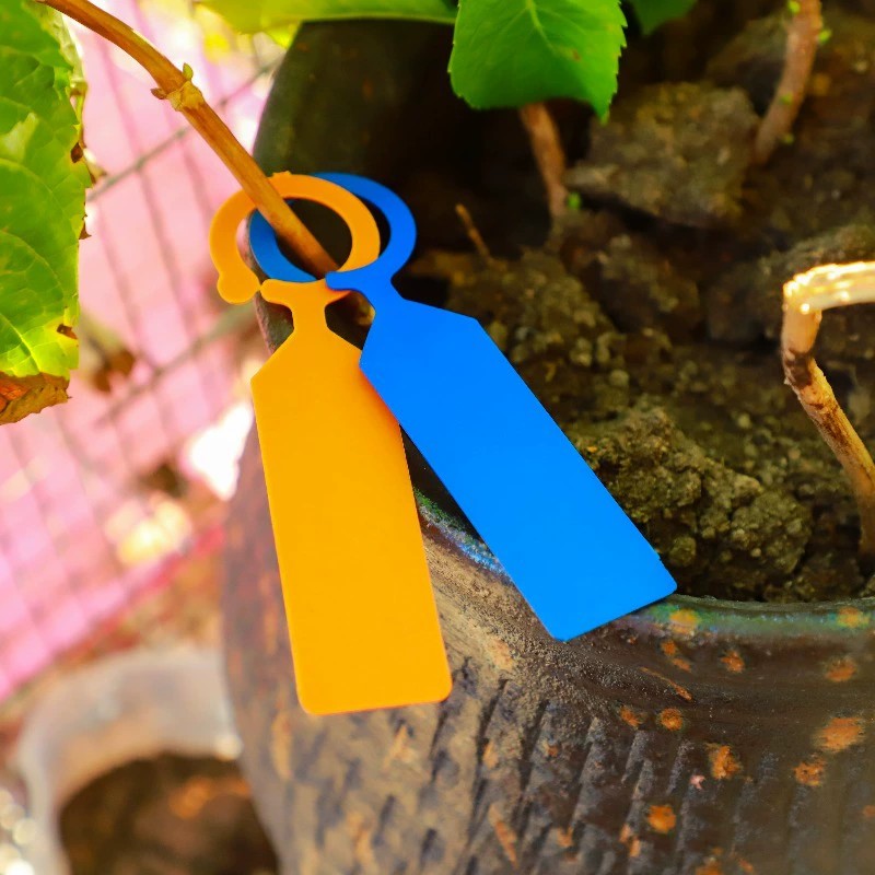 100 stuks ringvormige plantenl - Garden Journal Planner recensie en prijs