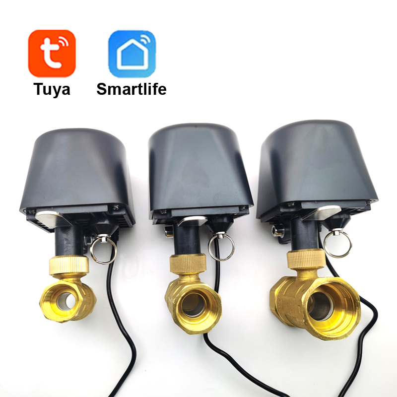 Tuya WiFi of Zigbee Waterklep  - Smart Garden Tap recensie en prijs